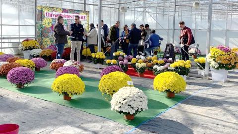 La réussite de ce Salon itinérant tient beaucoup au lieu d’accueil. Mention particulière cette année au lycée horticole Terre d’horizon. Directeurs et salariés ont ouvert le site et laissé la place aux exposants dans ses serres quasi entièrement rénovées. ©O. Maillard